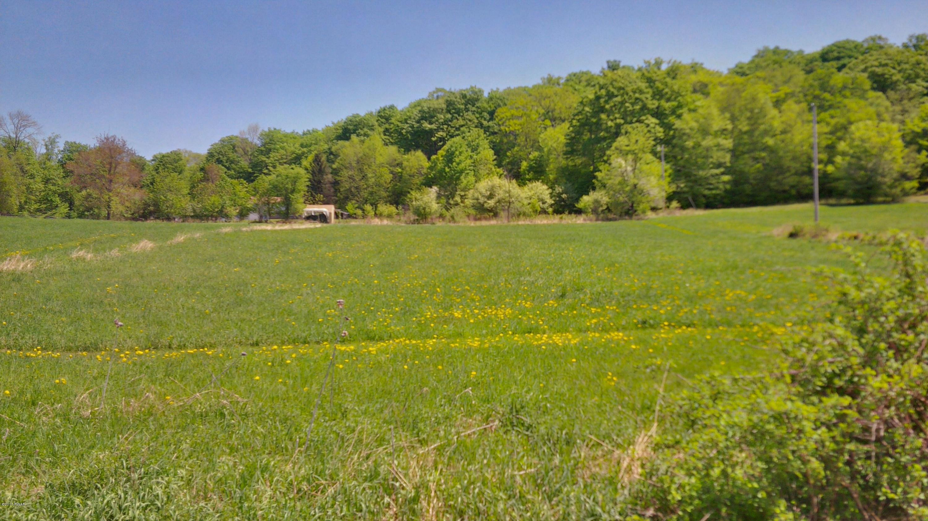 Westcott Road Tyler Hill, PA 18469 - Photo 6 of 6