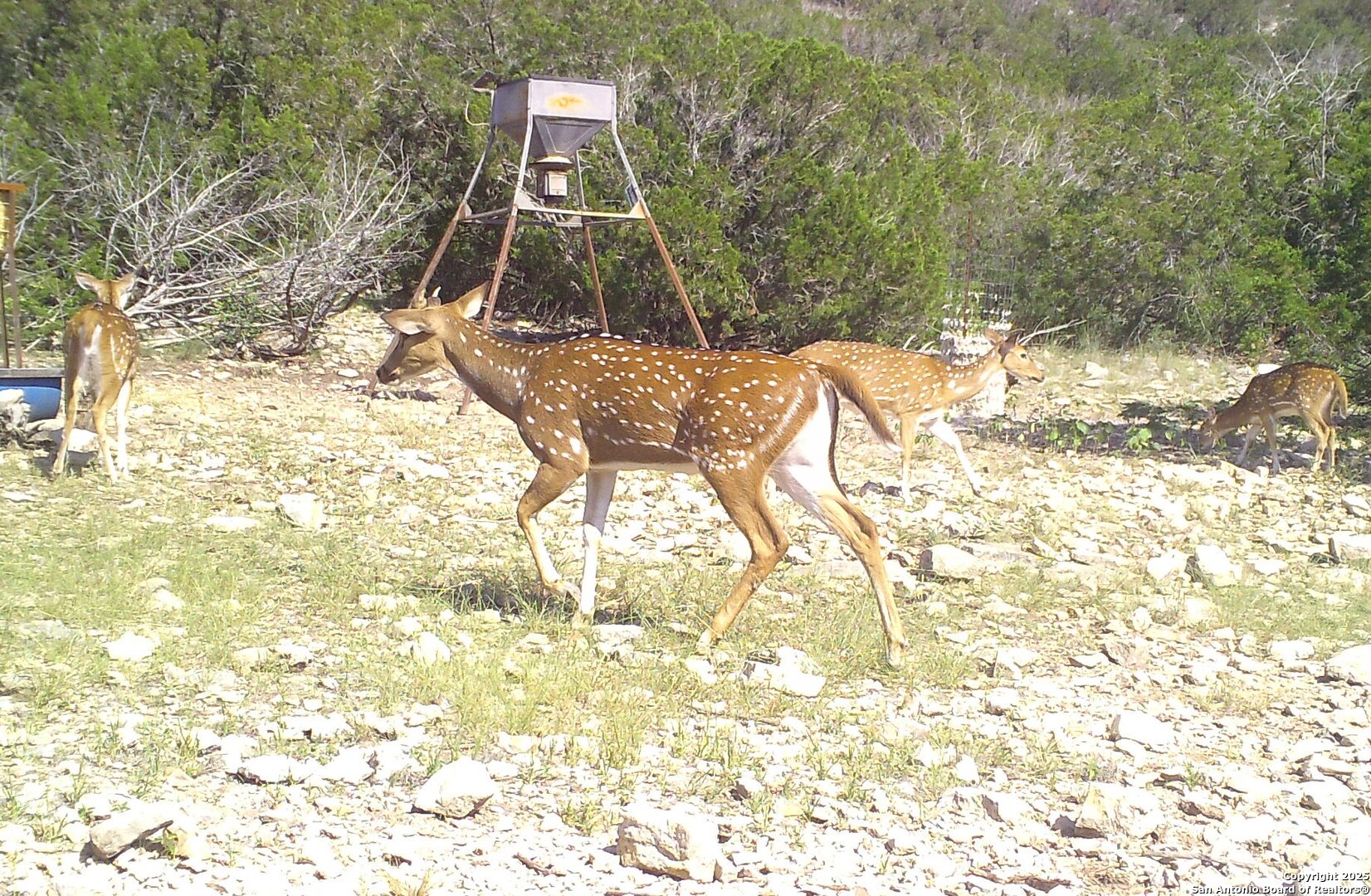 1024 SD 63005 Del Rio, TX 78840 - Photo 15 of 33