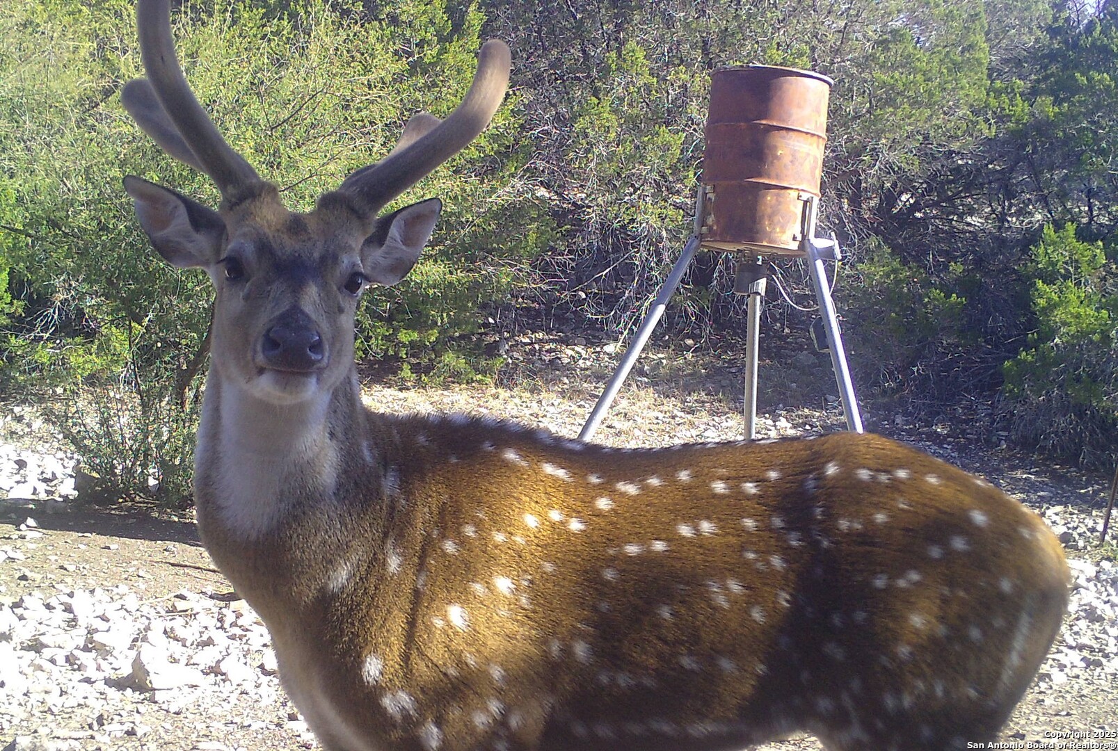 1024 SD 63005 Del Rio, TX 78840 - Photo 22 of 33