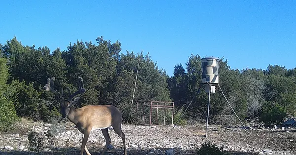 $575,000 | 1024 SD 63005, Del Rio, TX 78840