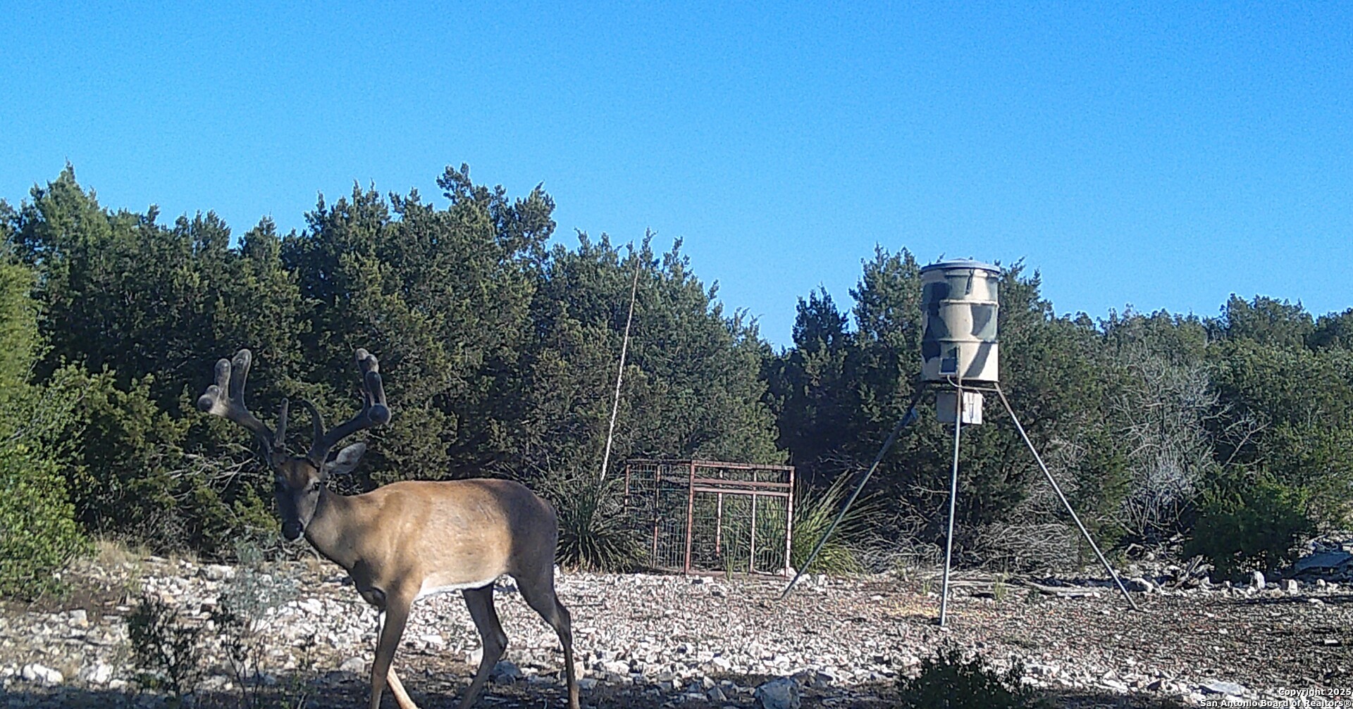 1024 SD 63005 Del Rio, TX 78840 - Photo 24 of 33