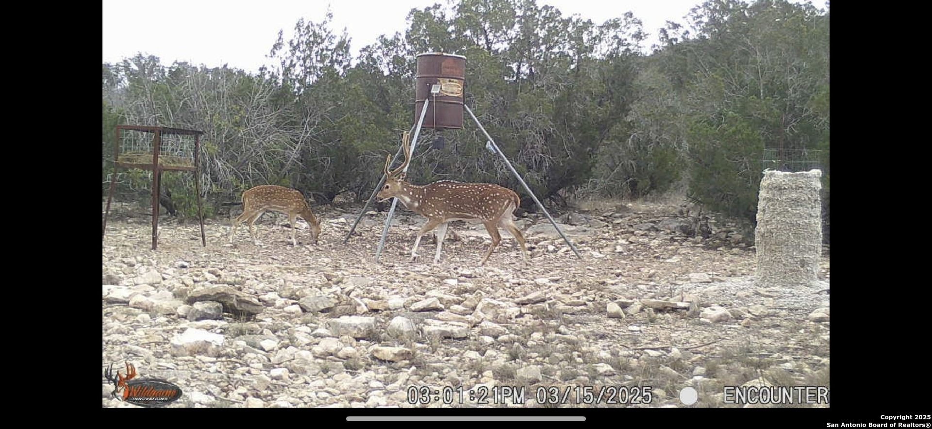 1024 SD 63005 Del Rio, TX 78840 - Photo 27 of 33