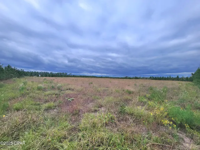 $60,000 | 0 Glenmore Court, Marianna, FL 32446