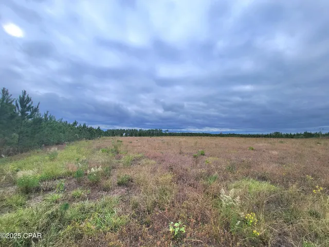 $60,000 | 0 Glenmore Court, Marianna, FL 32446