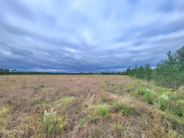 $60,000 | 0 Glenmore Court, Marianna, FL 32446