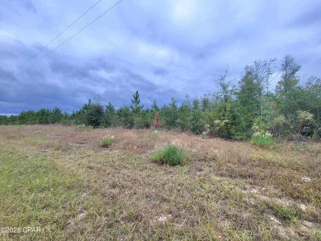 $60,000 | 0 Glenmore Court, Marianna, FL 32446