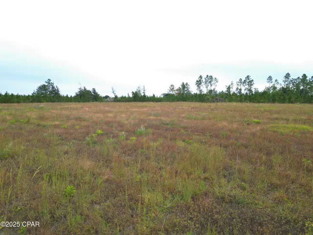 $60,000 | 0 Glenmore Court, Marianna, FL 32446