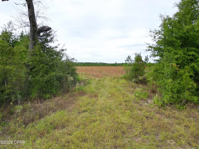 $60,000 | 0 Glenmore Court, Marianna, FL 32446