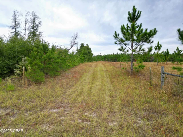 $60,000 | 0 Glenmore Court, Marianna, FL 32446