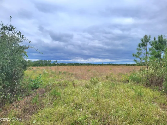 $60,000 | 0 Glenmore Court, Marianna, FL 32446