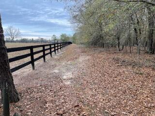 7.8-acres Deer Stand Road Wagener, SC 29164 - Photo 2 of 14