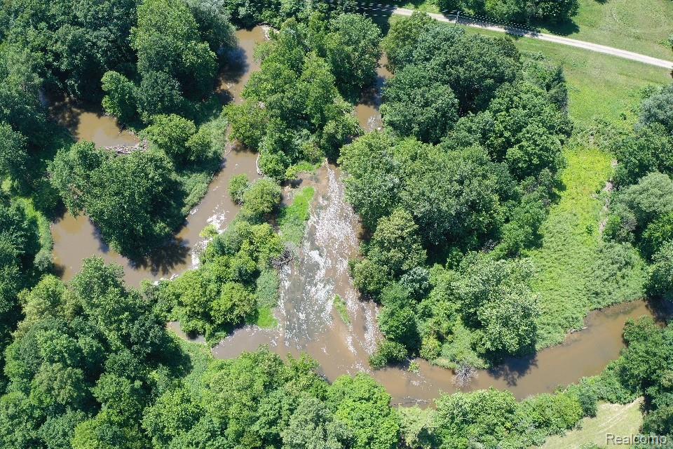 3656 Stanley Road Columbiaville, MI 48421 - Photo 53 of 65 Expansive wooded acreage with a winding waterway, featuring mature trees and varied vegetation
