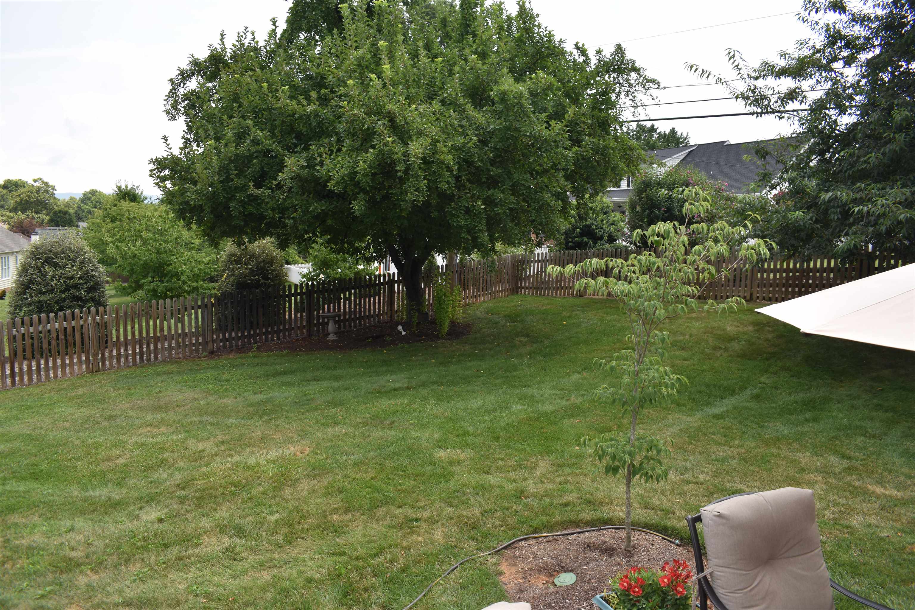 212 Princess Anne Road Waynesboro, VA 22980 - Photo 12 of 65 Perfect for backyard fun