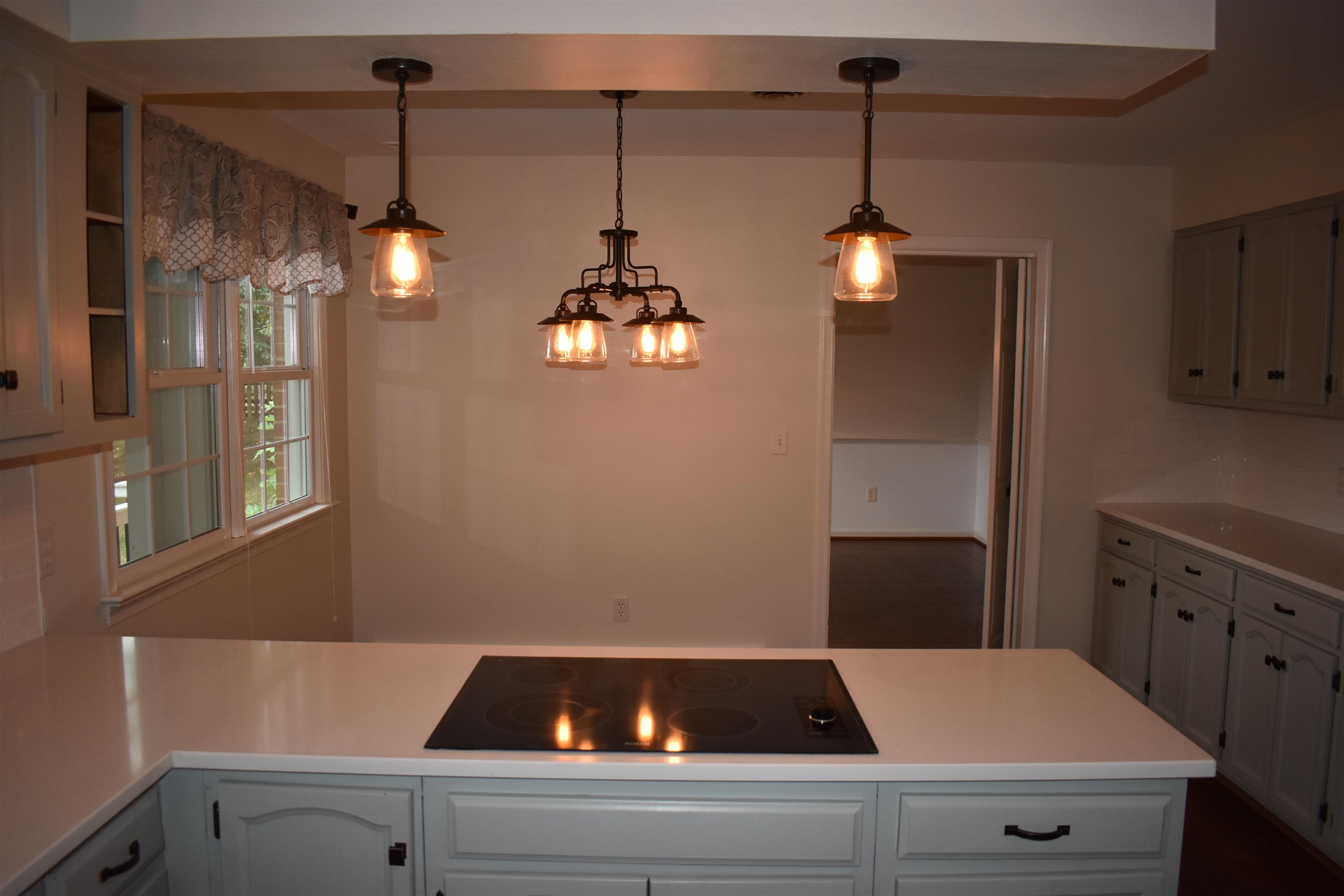 212 Princess Anne Road Waynesboro, VA 22980 - Photo 34 of 65 Quartz countertops complete