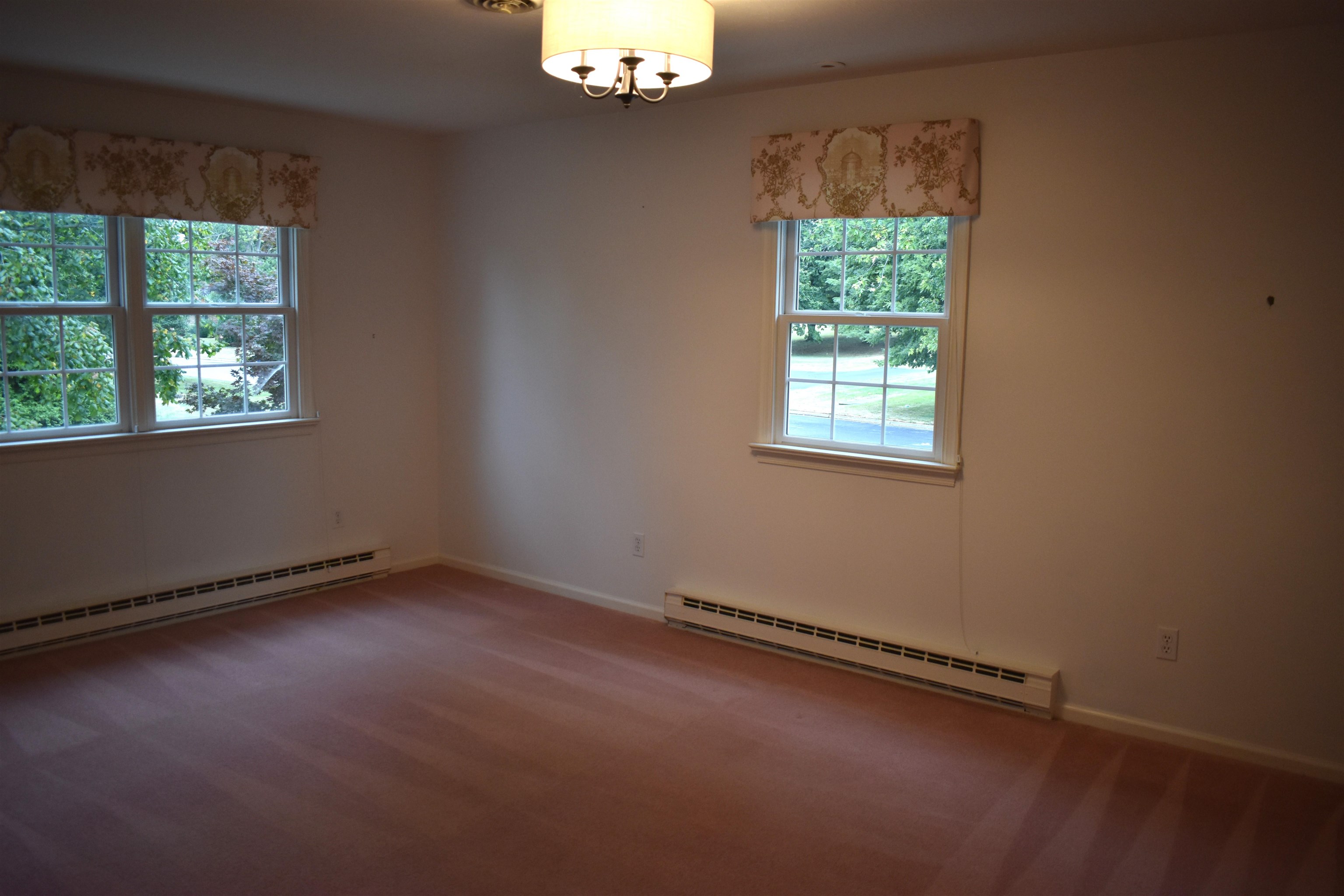 212 Princess Anne Road Waynesboro, VA 22980 - Photo 43 of 65 BR2 is also a bright airy