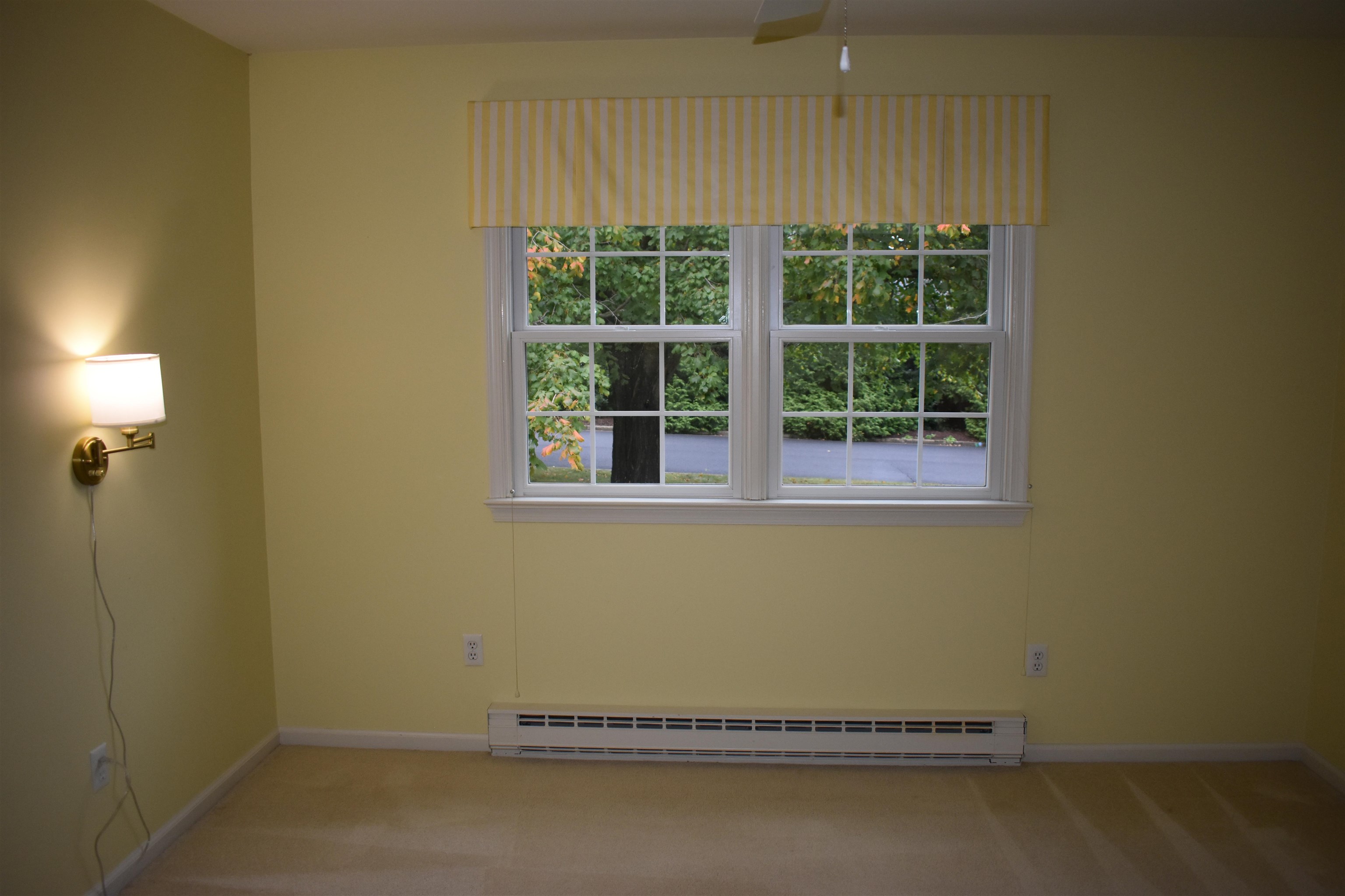 212 Princess Anne Road Waynesboro, VA 22980 - Photo 46 of 65 3rd BR also features bright