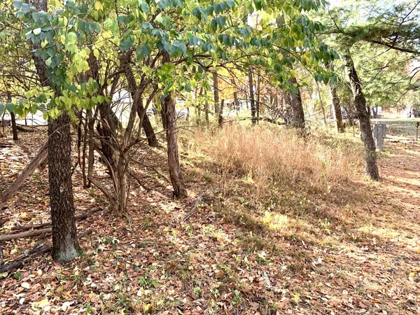 a view of yard with trees