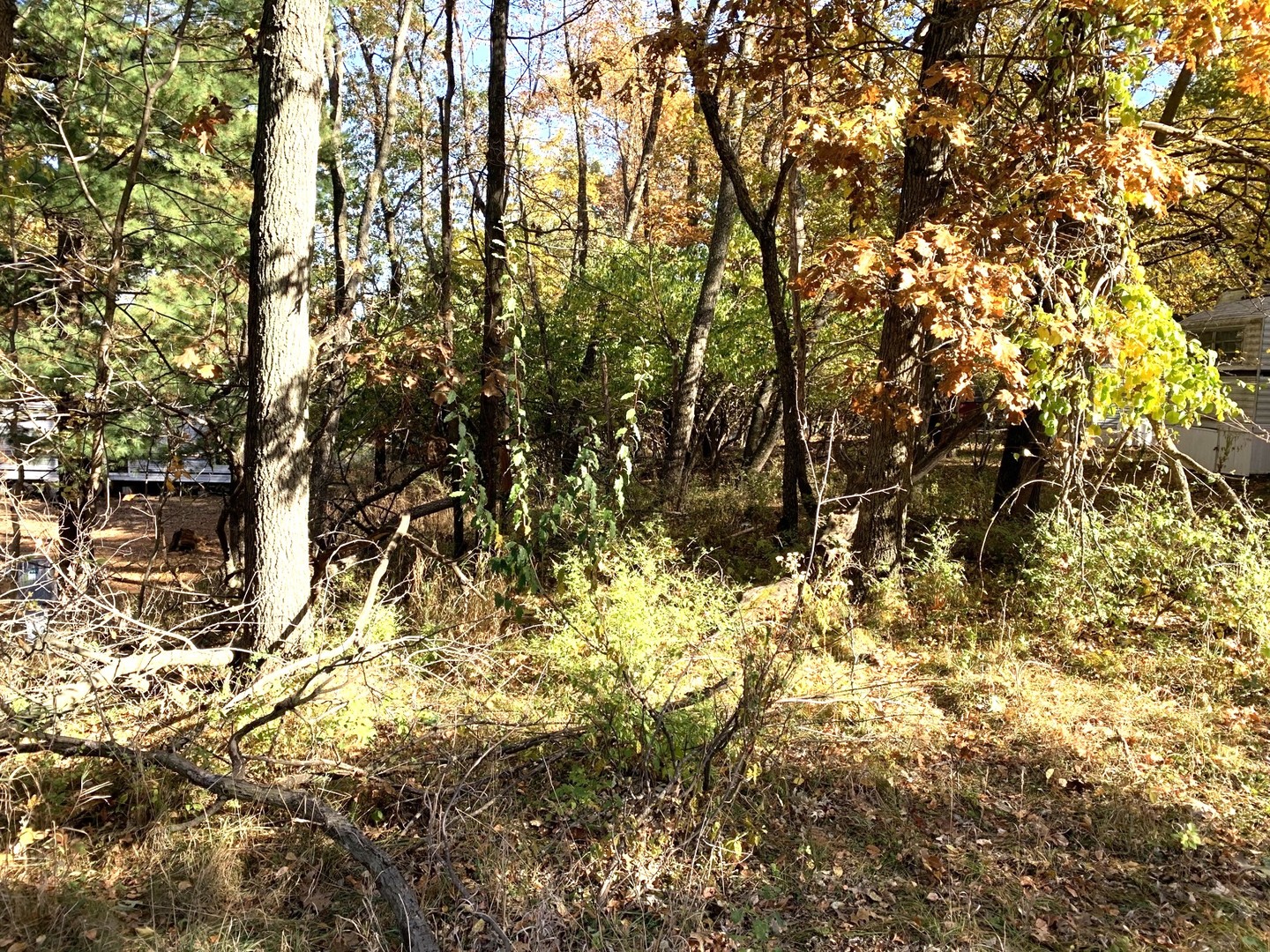 5-334 Woodhaven Sublette, IL 61367 - Photo 5 of 5