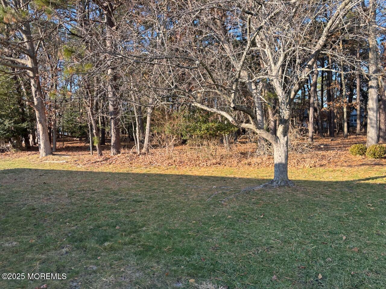 32 Constitution Boulevard Whiting, NJ 08759 - Photo 6 of 30 IMG_3197