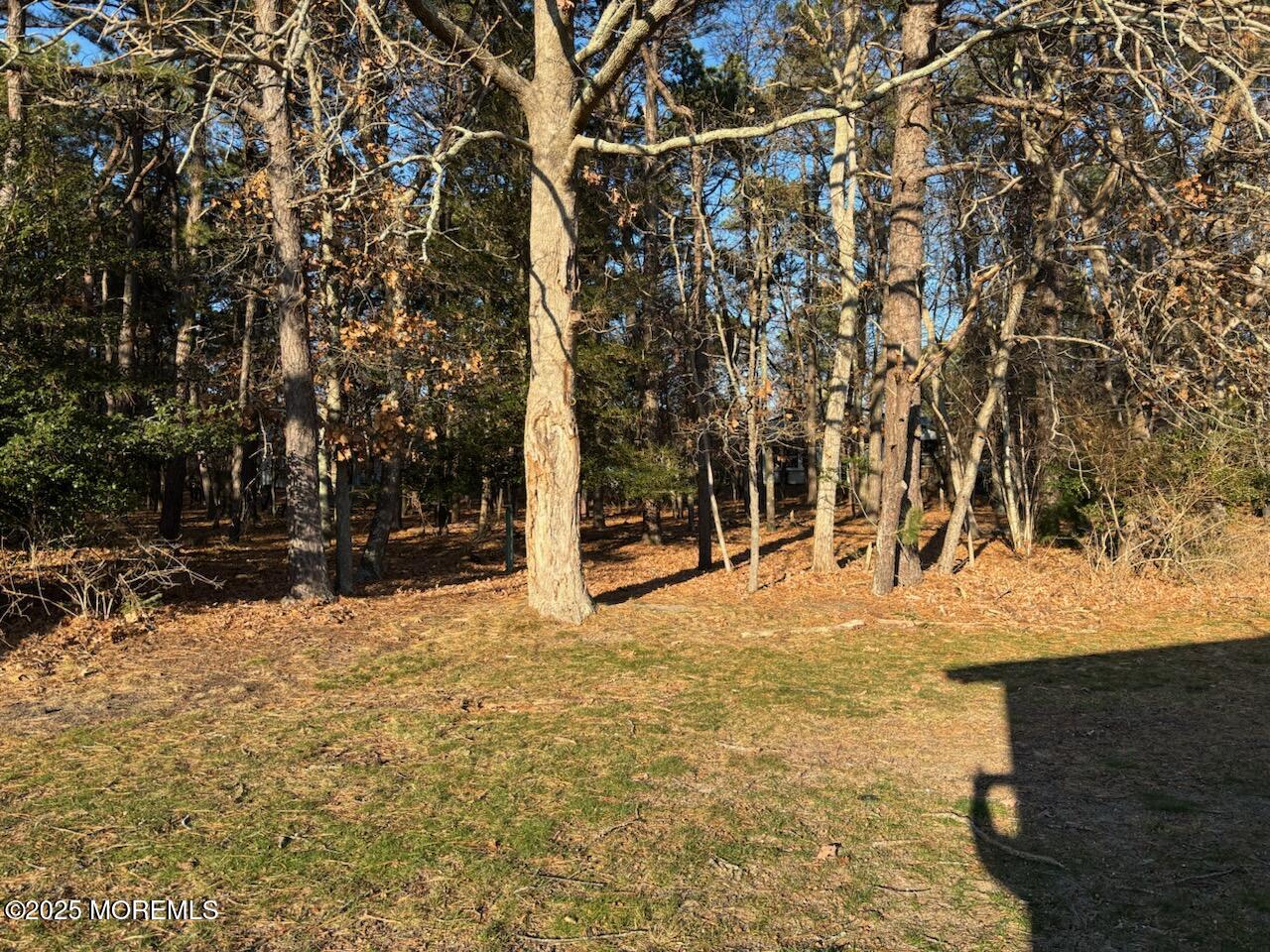 32 Constitution Boulevard Whiting, NJ 08759 - Photo 7 of 30 IMG_3200