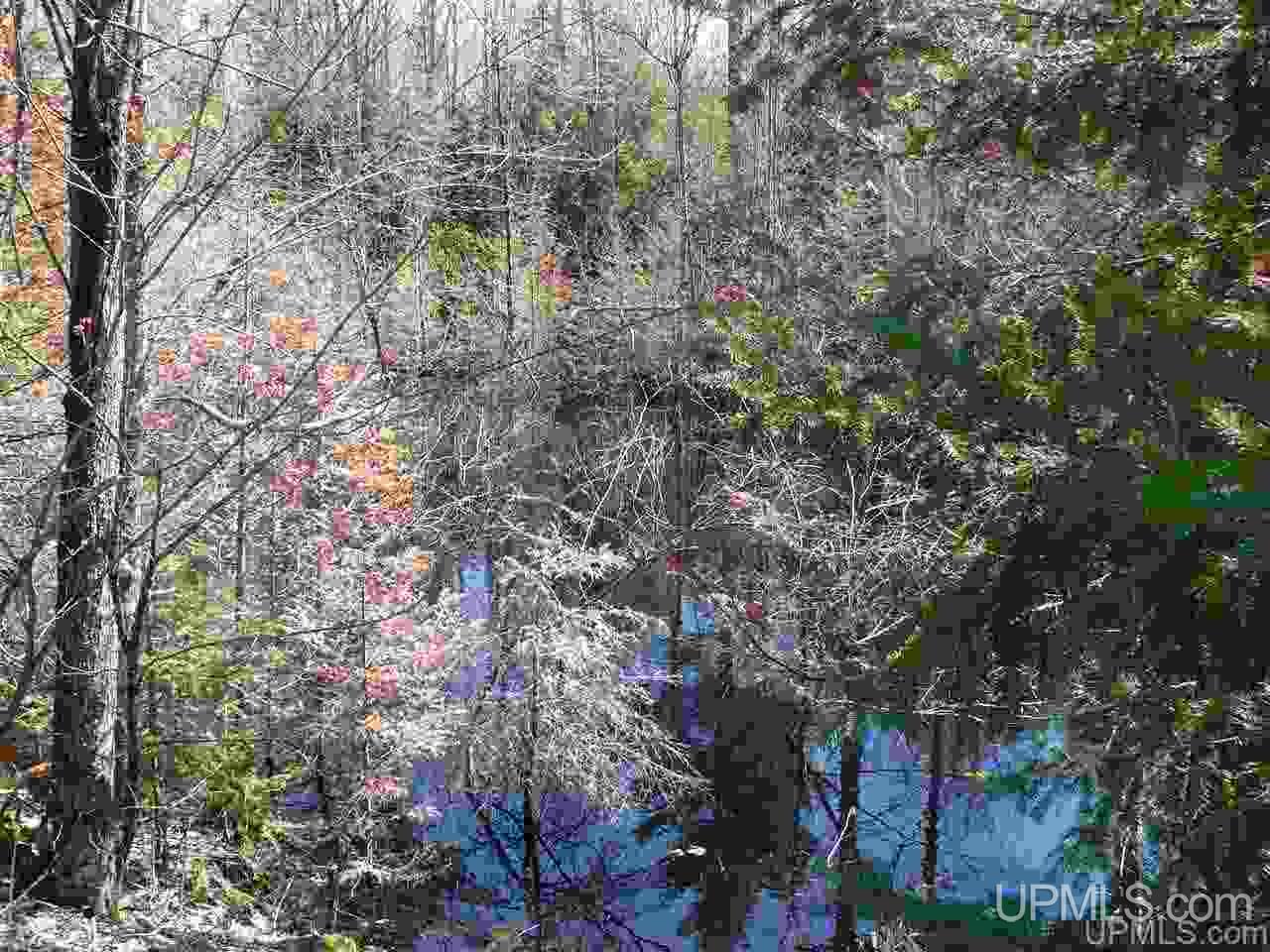 N3302 16 16 Mile Lake Road Munising, MI 49862 - Photo 6 of 6