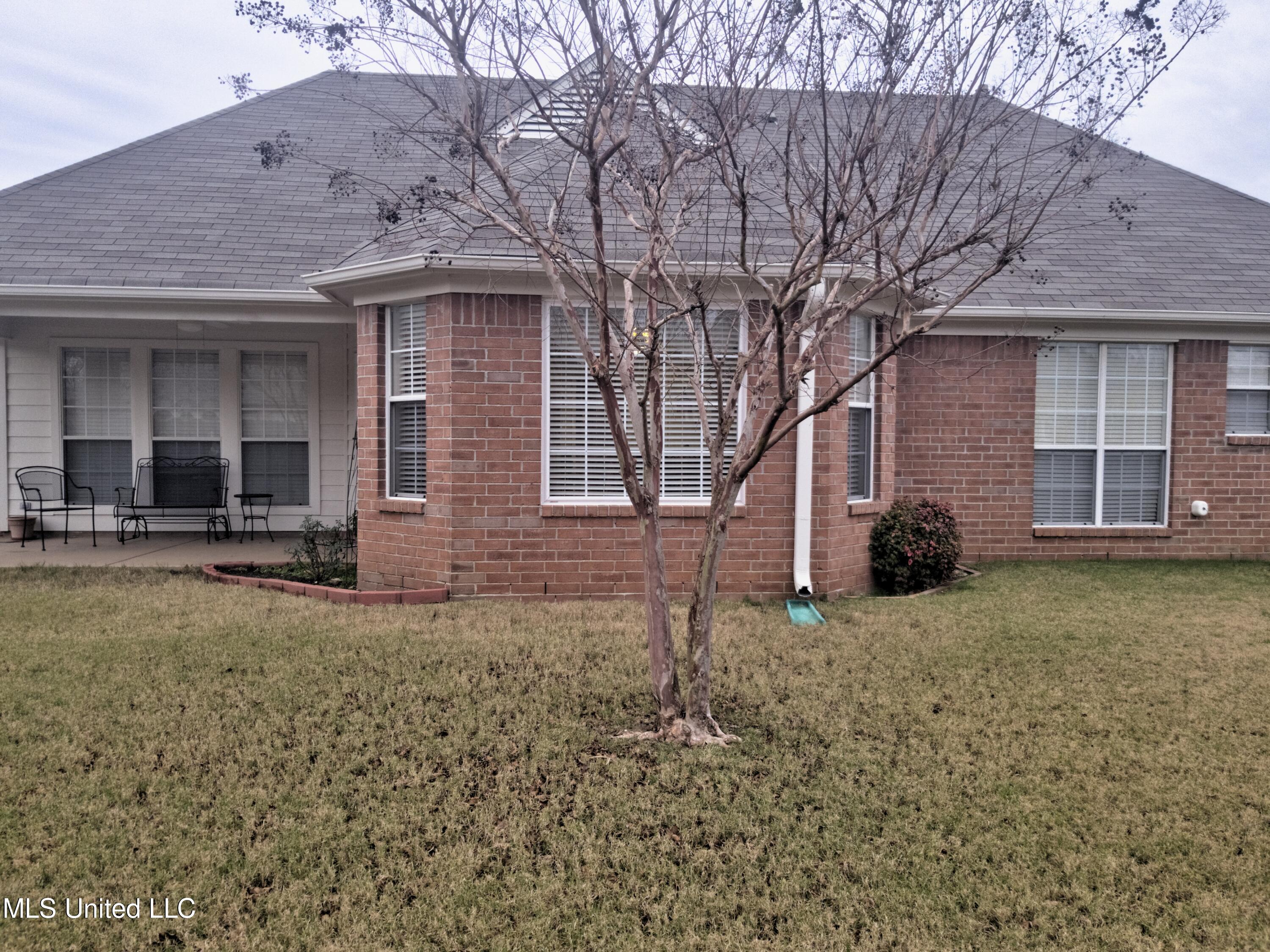 7703 Alexanders Ridge Cove Olive Branch, MS 38654 - Photo 10 of 10 7703 Alexaders Ridge Cv Rear Ext 3