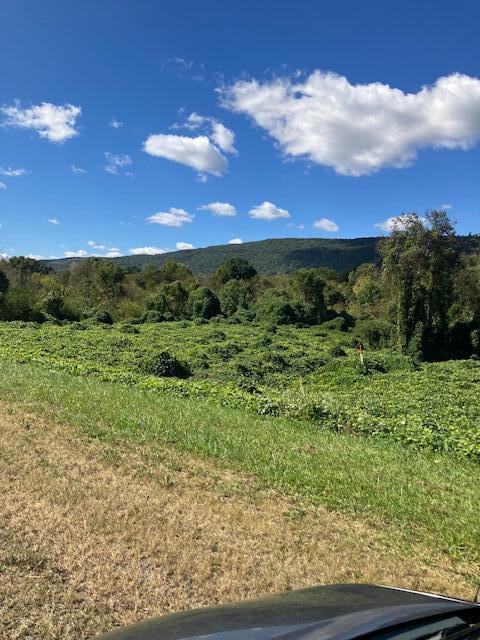 0 Rhea County Highway Spring City, TN 37381 - Photo 4 of 12 Zimmerman Property 2