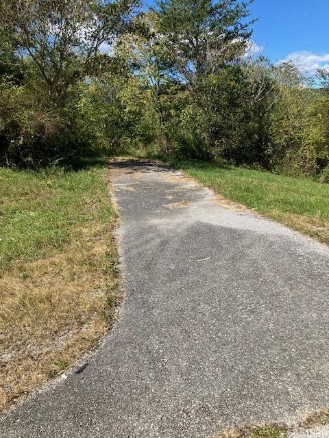 0 Rhea County Highway Spring City, TN 37381 - Photo 9 of 12 Zimmerman Property 8
