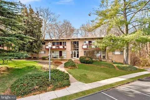 a view of a park that has a tree on the side of it