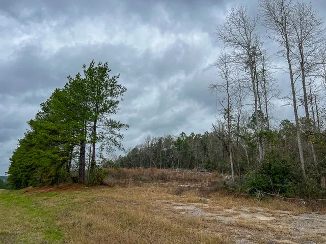 $274,500 | 190 Highway 190, Newton, TX 75966