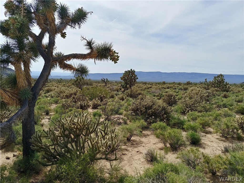 11161 Raley Road Yucca, AZ 86438 - Photo 5 of 12