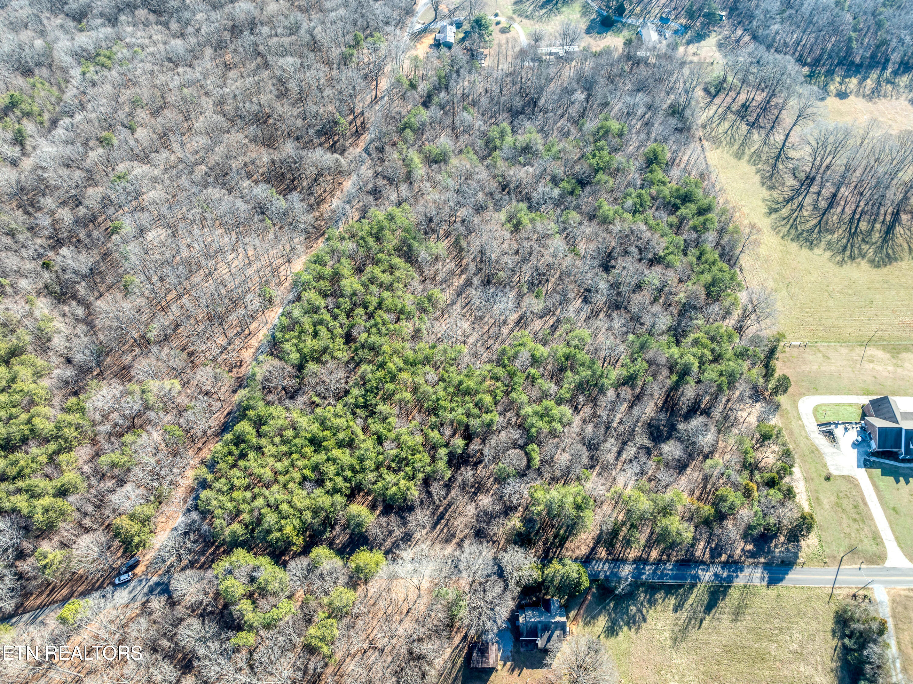 260 Co Road Niota, TN 37826 - Photo 12 of 13 DJI_0535