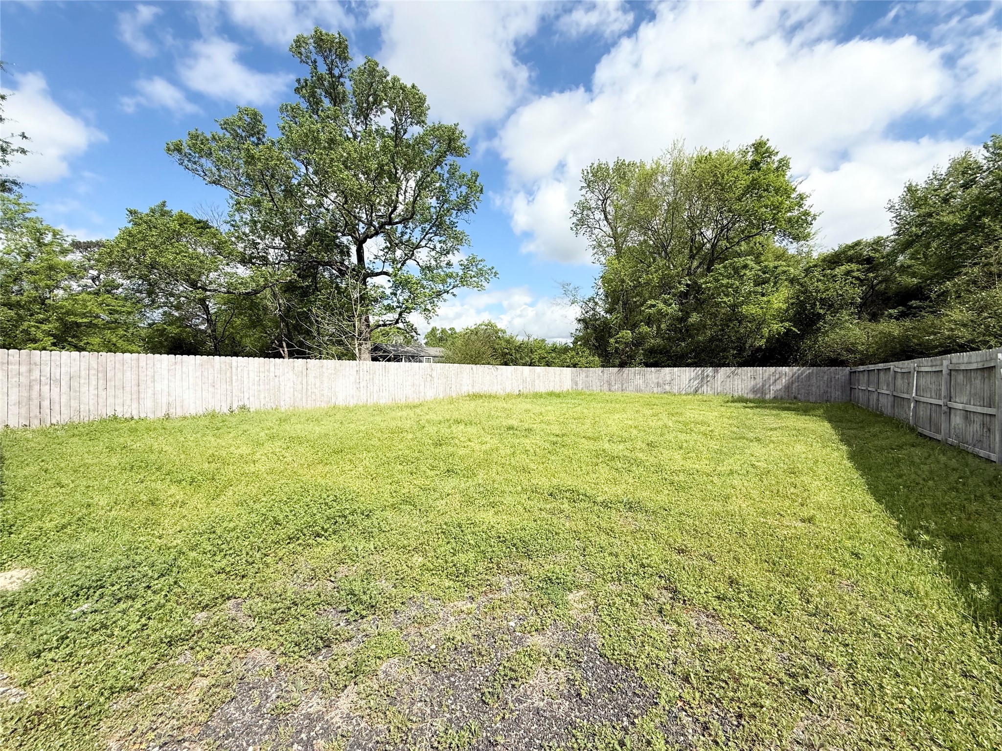 300 Longstreet Road Willis, TX 77378 - Photo 25 of 30 Backyard