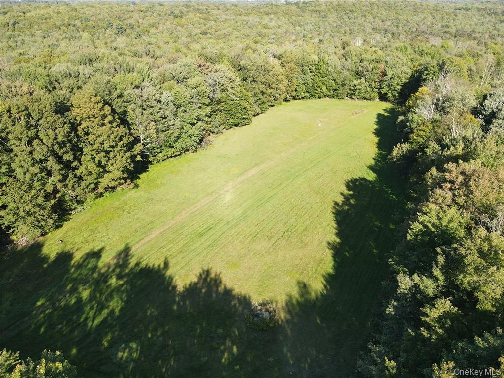 114 Levine Road Kiamesha Lake, NY 12751 - Photo 12 of 36 a view of ocean view