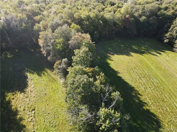 a view of a lake with a tree