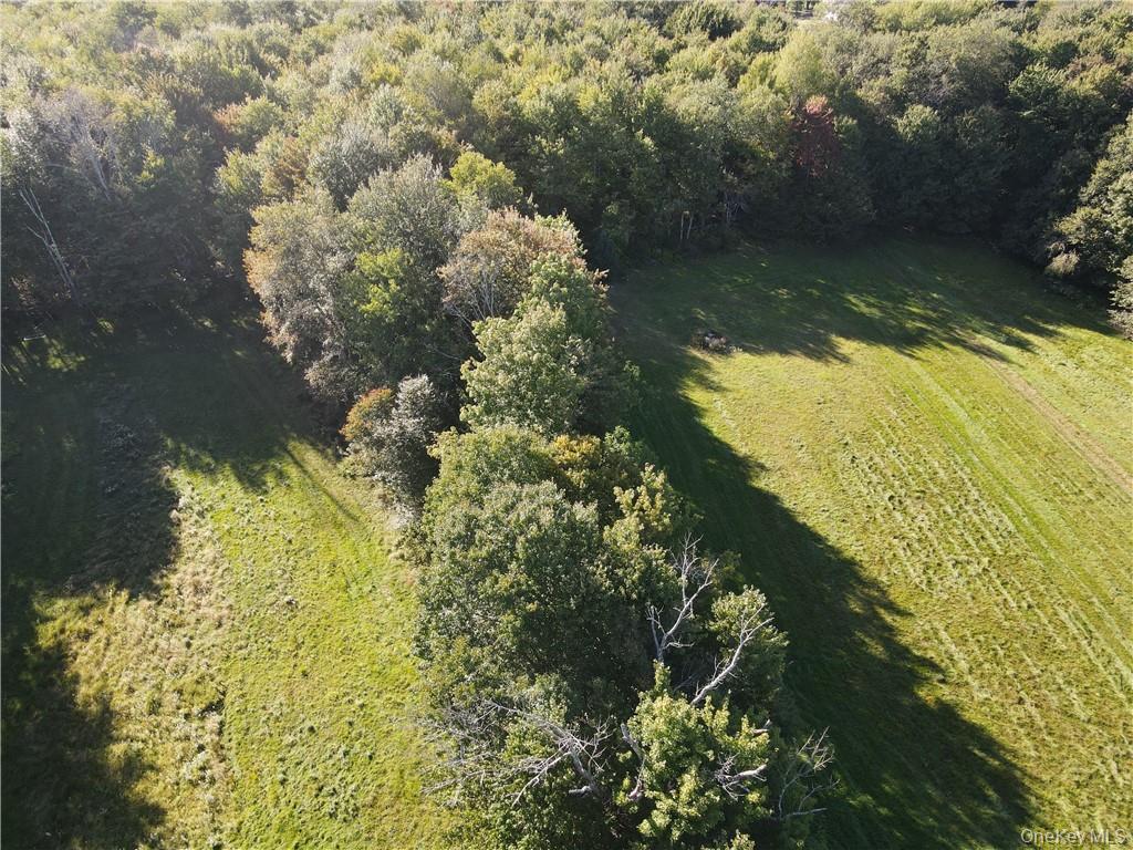 114 Levine Road Kiamesha Lake, NY 12751 - Photo 15 of 36 a view of a lake with a tree