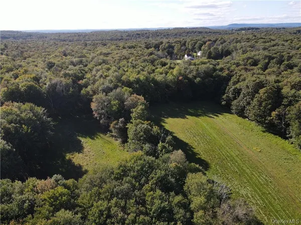 an aerial view of residential houses with outdoor space and trees