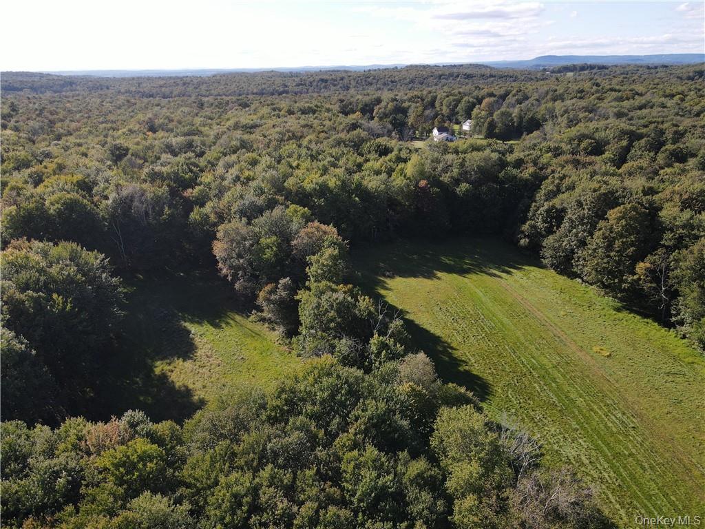 114 Levine Road Kiamesha Lake, NY 12751 - Photo 16 of 36 an aerial view of residential houses with outdoor space and trees