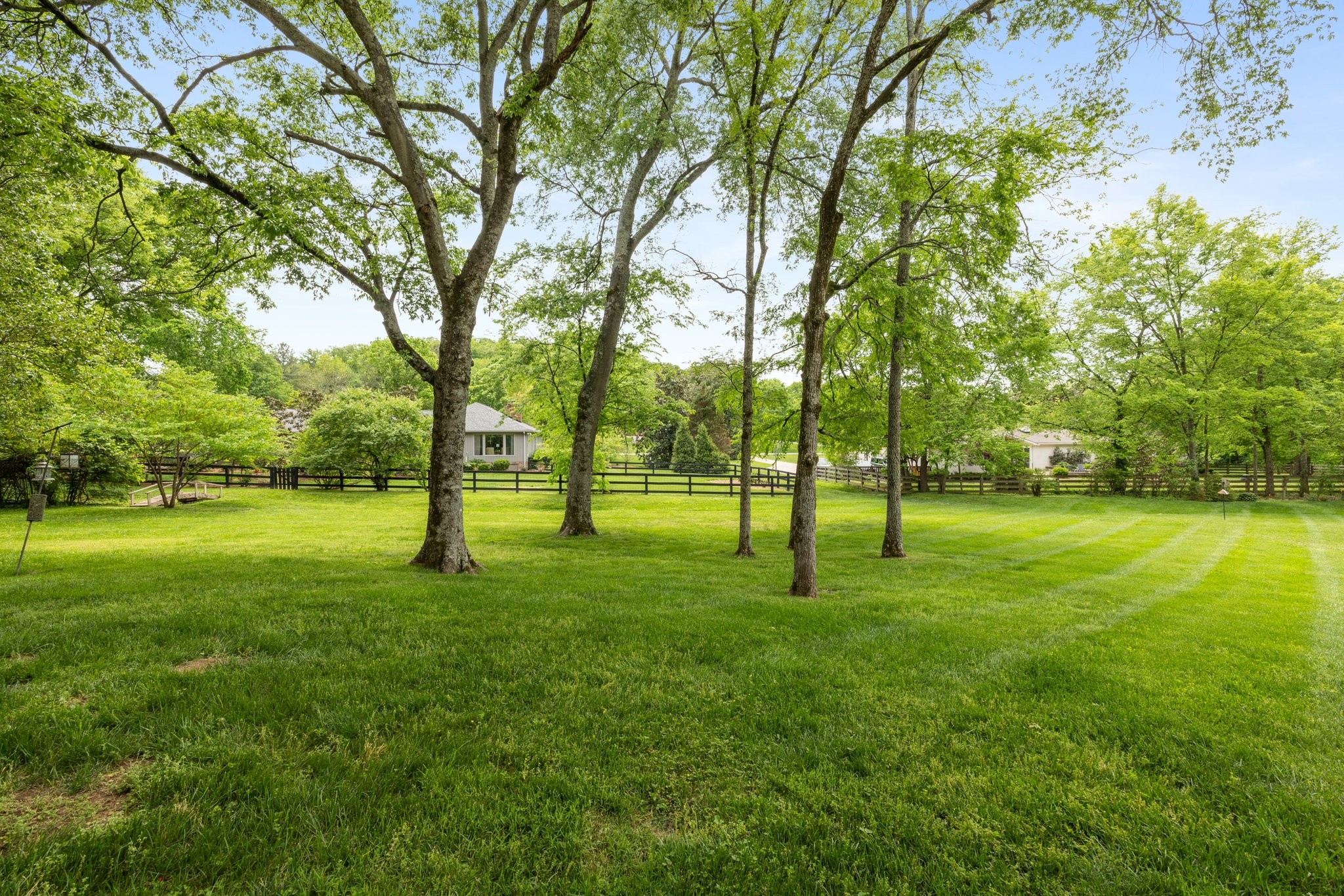 1409 Sneed Road West Franklin, TN 37069 - Photo 45 of 47 a view of a park with a tree