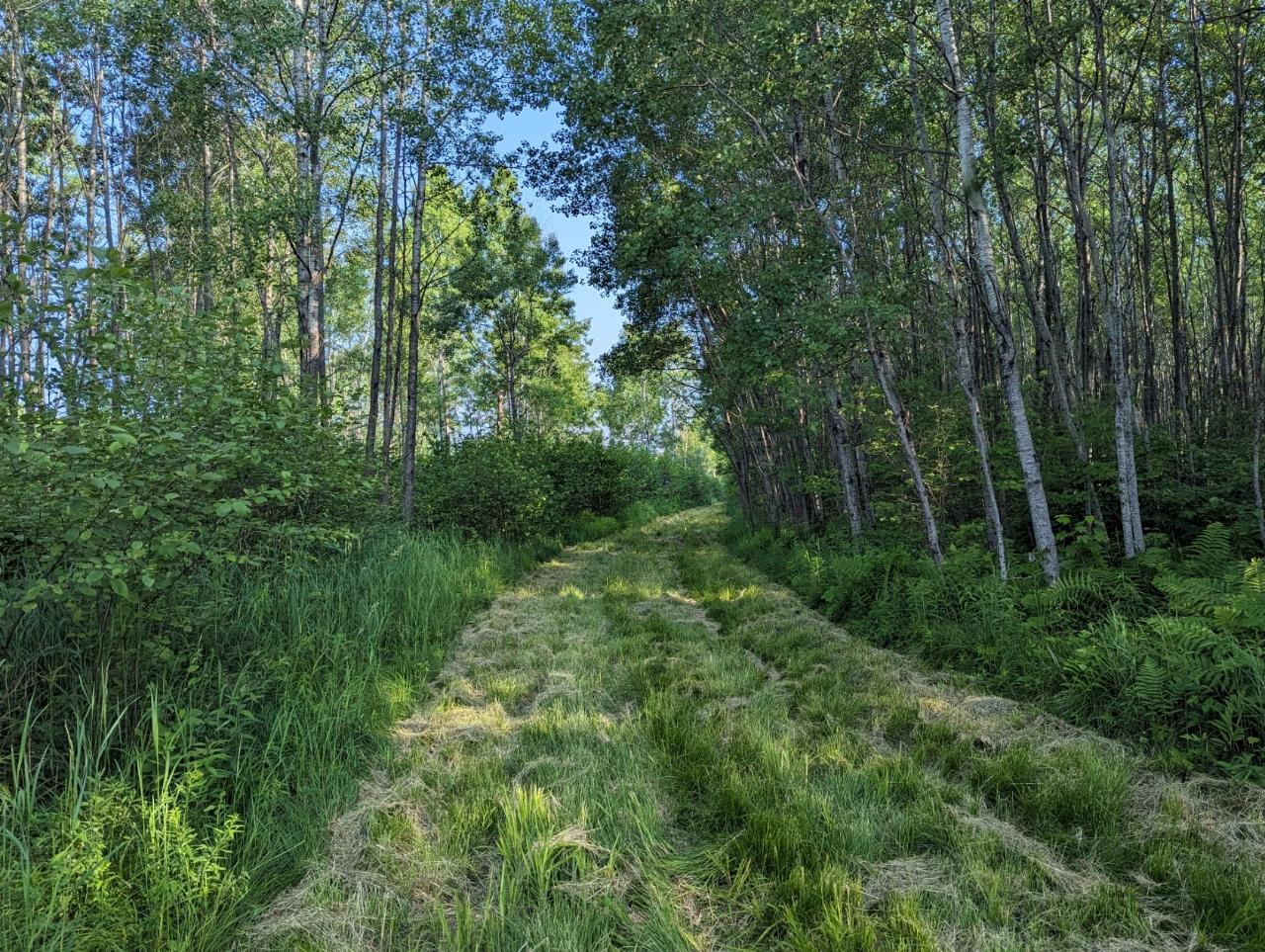 W7043 Lane Rd Road Phillips, WI 54555 - Photo 7 of 43 Gallery Image 7