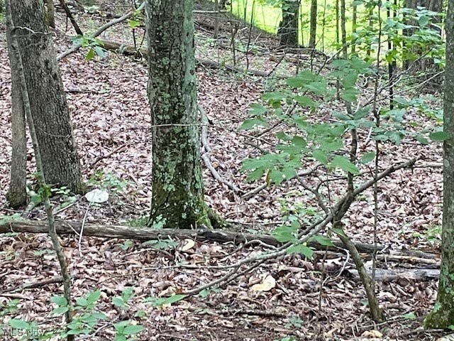 West Fork Road Spencer, WV 25276 - Photo 15 of 19