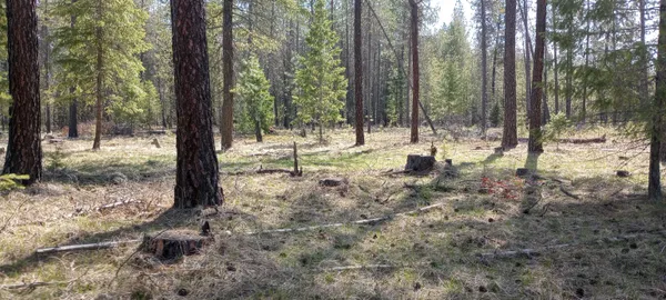 $129,900 | 151-xx East Oregon Road, Unit PARCEL 49111 9067, Elk, WA 99009