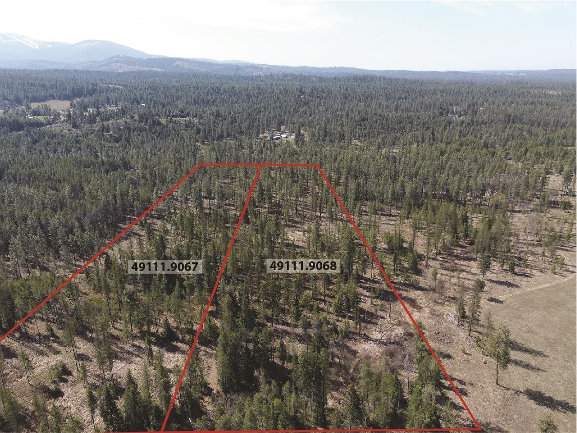 151-xx East Oregon Road, Unit PARCEL 49111 9067 Elk, WA 99009 - Photo 10 of 11