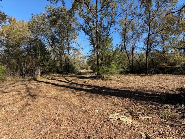 a view of backyard space with trees