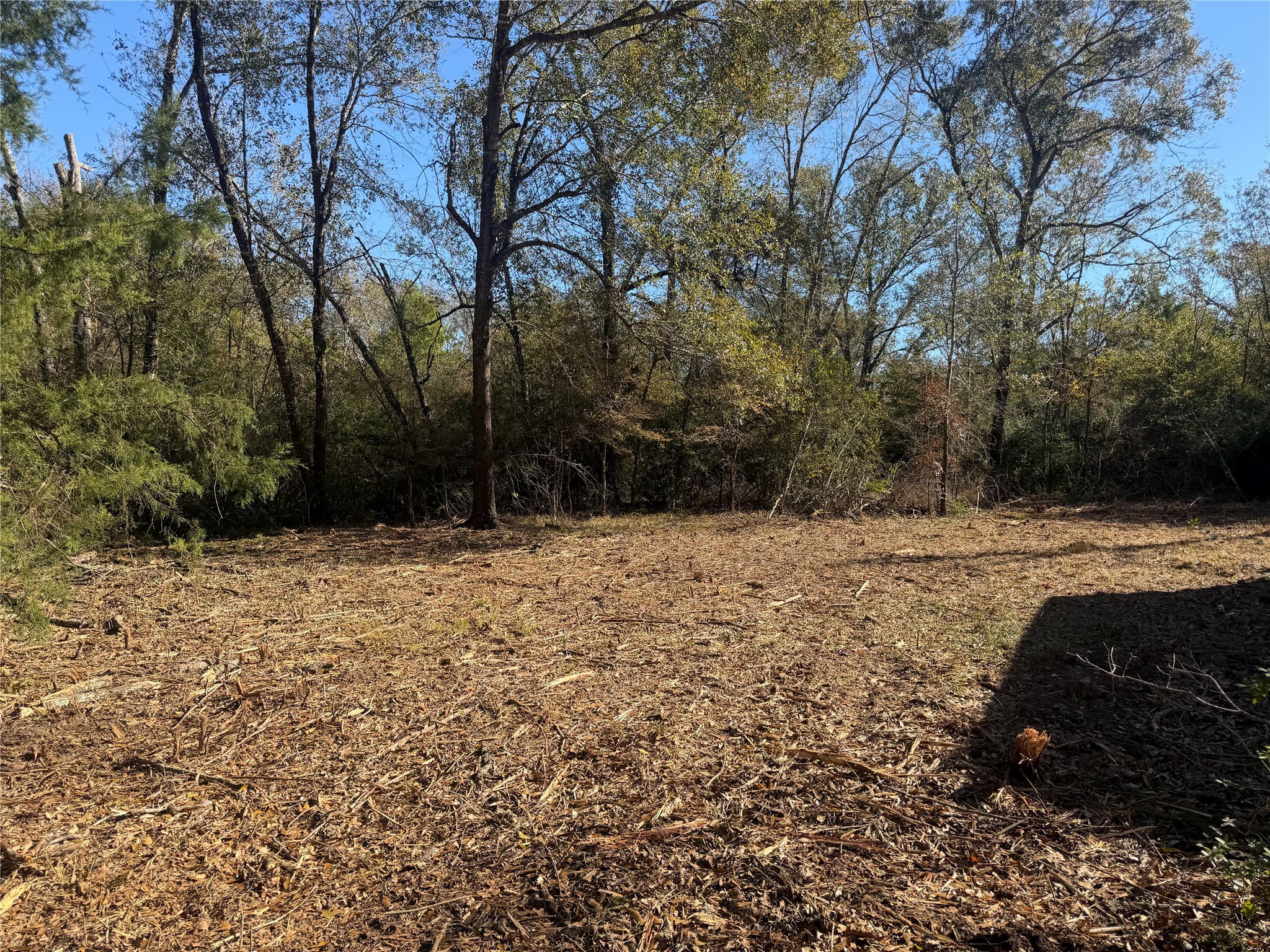 9301 Puddin Lane Madisonville, TX 77864 - Photo 13 of 20