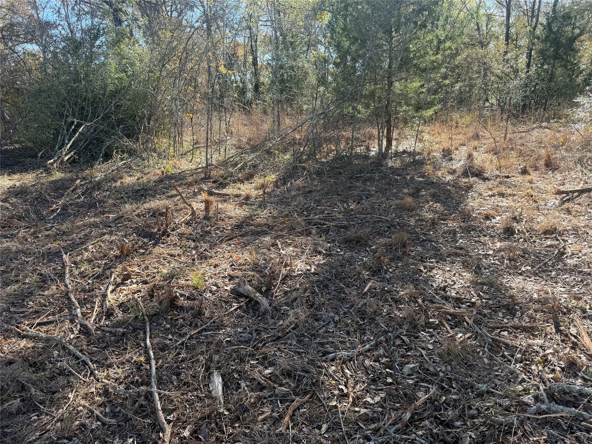 9301 Puddin Lane Madisonville, TX 77864 - Photo 14 of 20