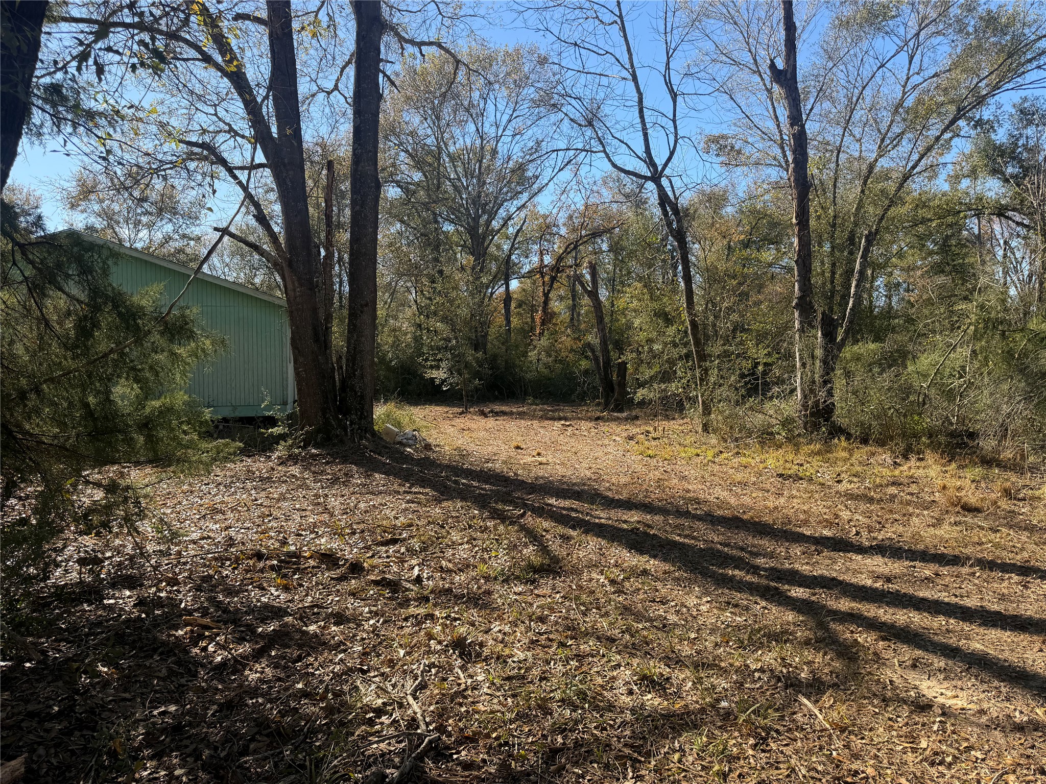 9301 Puddin Lane Madisonville, TX 77864 - Photo 15 of 20