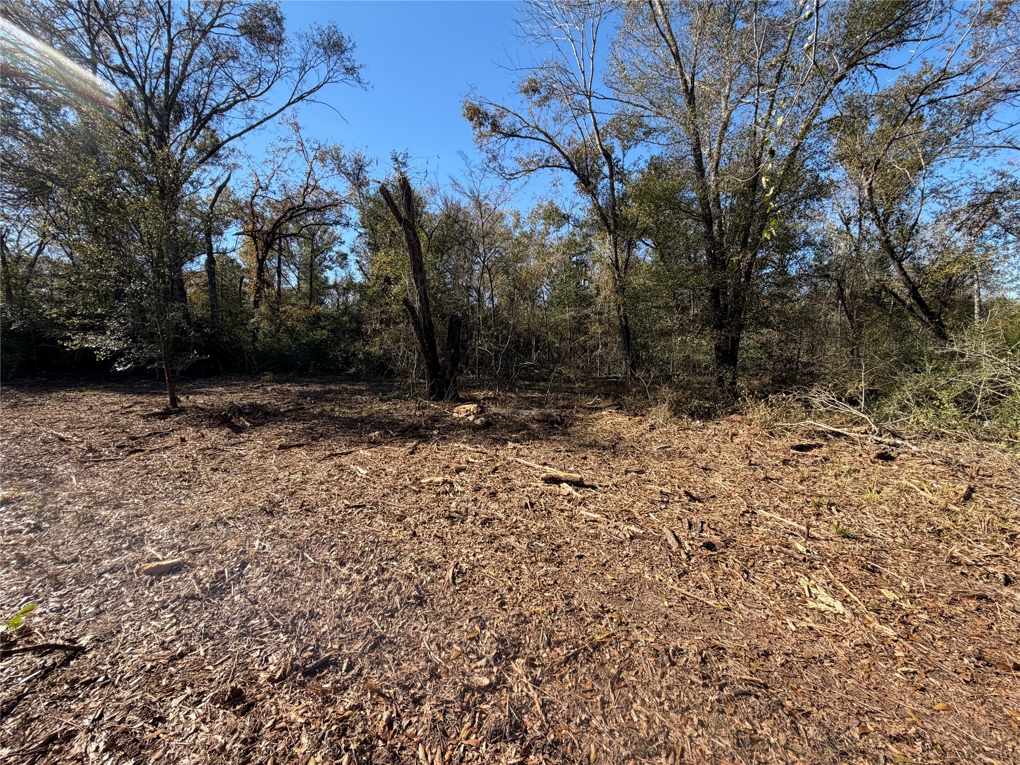 9301 Puddin Lane Madisonville, TX 77864 - Photo 16 of 20