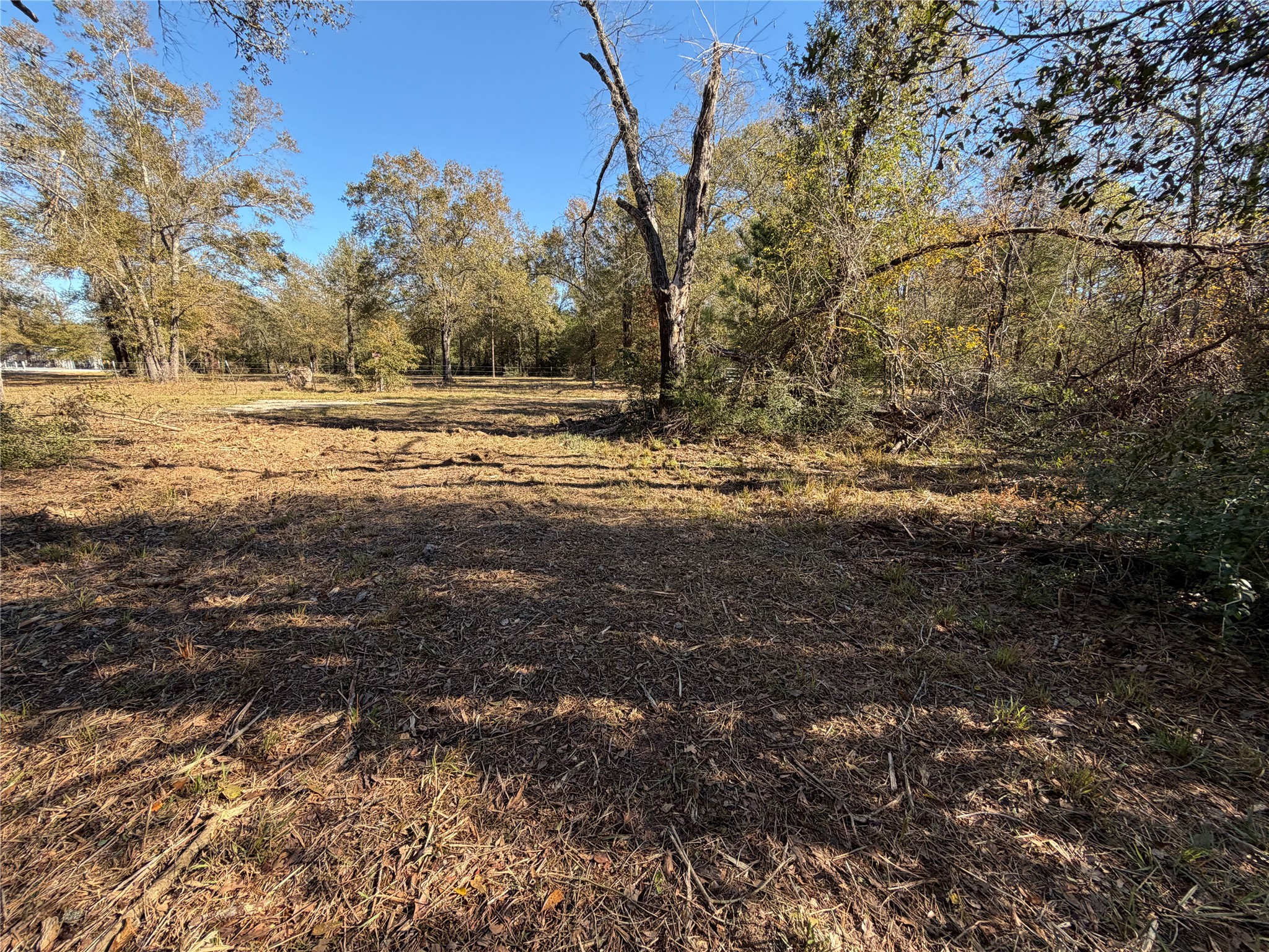 9301 Puddin Lane Madisonville, TX 77864 - Photo 18 of 20