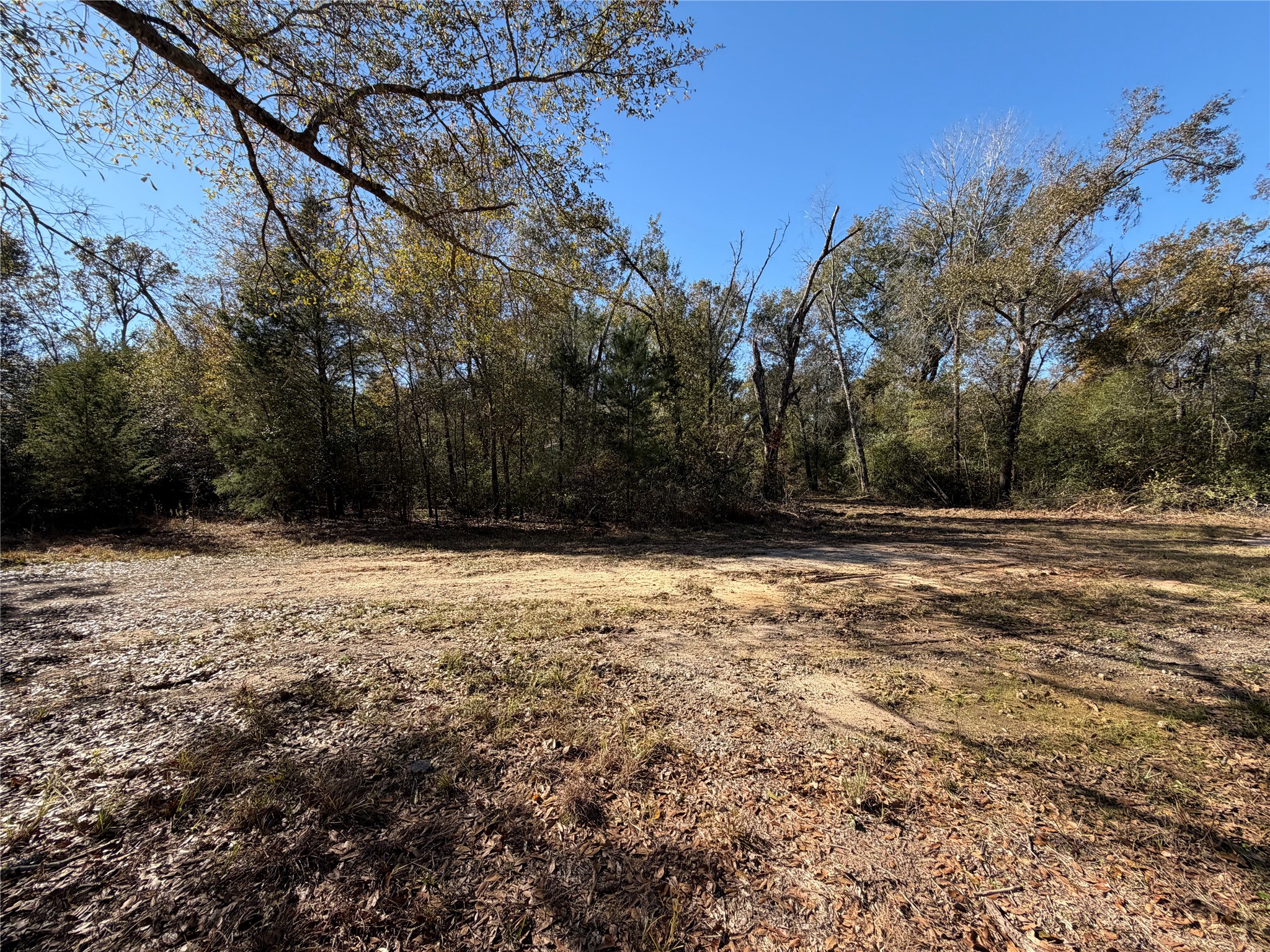 9301 Puddin Lane Madisonville, TX 77864 - Photo 19 of 20